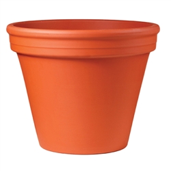 Standard Terracotta Pot