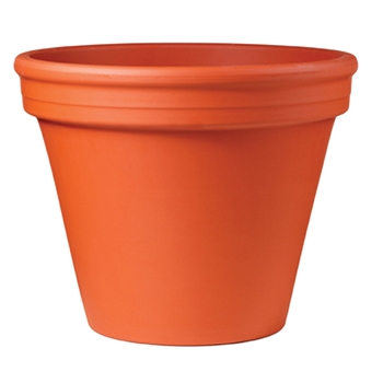 Standard Terracotta Pot