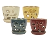 5" Daisy Orchid Pots w/ Attached Saucers, 4 Assorted Colors