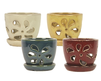 5" Daisy Orchid Pots w/ Attached Saucers, 4 Assorted Colors