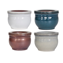 6.75" Fishbowl Self-Watering Planter in 4 Assorted Color