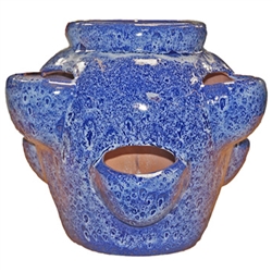 Ellora 6-Pocket Strawberry Jar - Running Cobalt